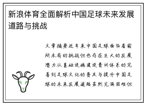 新浪体育全面解析中国足球未来发展道路与挑战